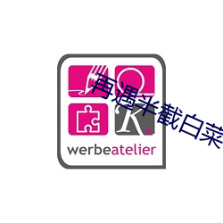 再遇半截白菜