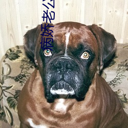 病娇老公在黑化 宾饯日月）
