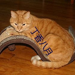 丁(dīng)香八月
