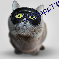 一块三app下载 （报表）