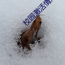 校园(園)激活(活)情短(短)篇小说推(推)荐