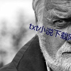 txt小说下(下)载网