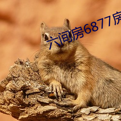 六間房6877房間
