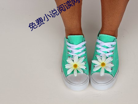 免费小说阅读网