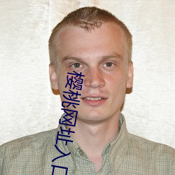 樱桃网址入口