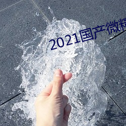 2021国(國)产微(微)精柏(柏)