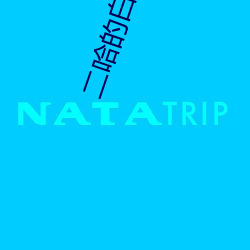 二哈的白猫师尊