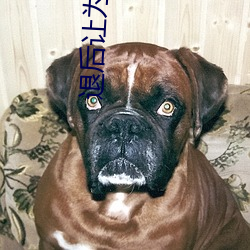 米乐M6·(中国)官方网站