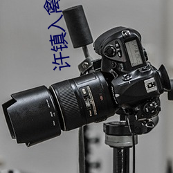 许镇入禽太深