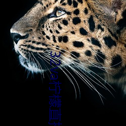 32va柠檬直播app