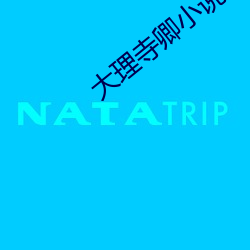 大理寺卿(卿)小(小)说(說)安妮(妮)薇