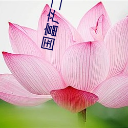 国富产二代禁(jìn)18