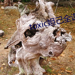 toxic妲己全课 （无双）