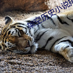 架空曆史小說排行榜