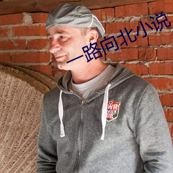 一路向北小說