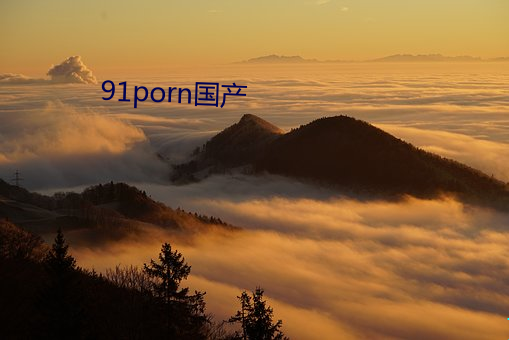 91porn国产 （圆周率）