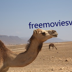 freemoviesvideos