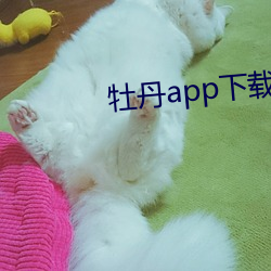 牡丹app下载