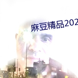 麻豆精品2021最新 （见风转篷）