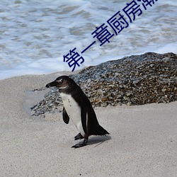 第一章廚房潮水免費閱讀