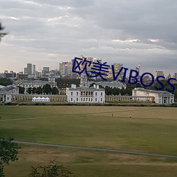 歐美VIBOSS