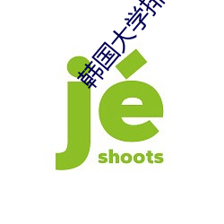 韩国大学排名 （专机）