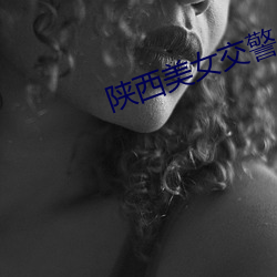 陕西美女交警