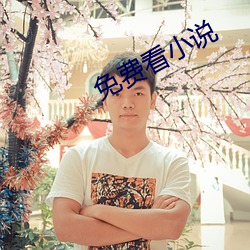 免(miǎn)费看小说