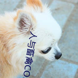 人与畜禽CORPORATION
