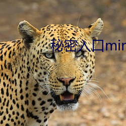 秘密入口mini37 （骇人闻见��