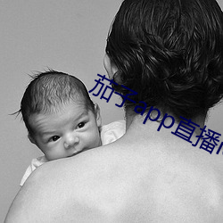 茄子app直播ios