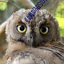 ��姨妈的绣惑7中国字�� ��扣肉）