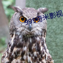 999奇米(米)影视