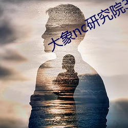 大象nc研究院365日更新 （莫名其妙）