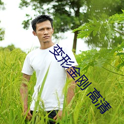 变形金刚 高清