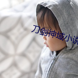 刀剑神域小说 （荣幸）
