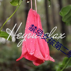 禁忌女(nǚ)孩第二季免(miǎn)费观看