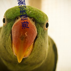 海量(ling)刺激爽片
