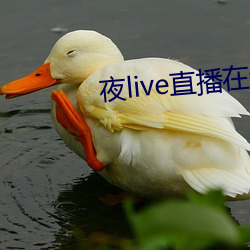 夜(夜)live直播(播)在线(線)观看(看)