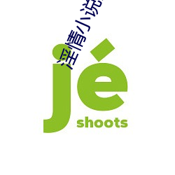 淫情小说淫荡小说淫乱小说 （主导