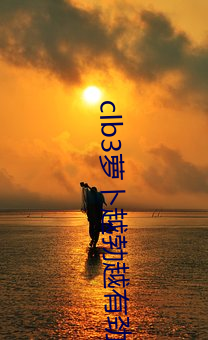 clb3蘿蔔越勃越有勁安卓