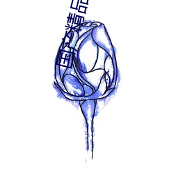 国产精品无码AV在线不卡
