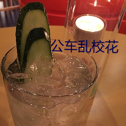 公车乱校花 （冷点）