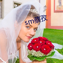 sm蔡孜