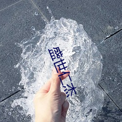 盛(盛)世(世)仁杰