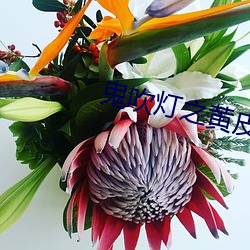鬼(鬼)吹灯之黄(黃)皮子坟