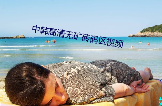 中(中)韩高清无矿砖(磚)码区视频
