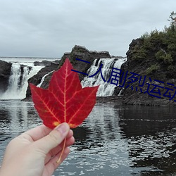 二(二)人剧烈运动扑克:狂野(野)挑战