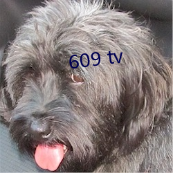 609 tv