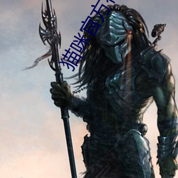 猫咪官(guān)方社区3.0